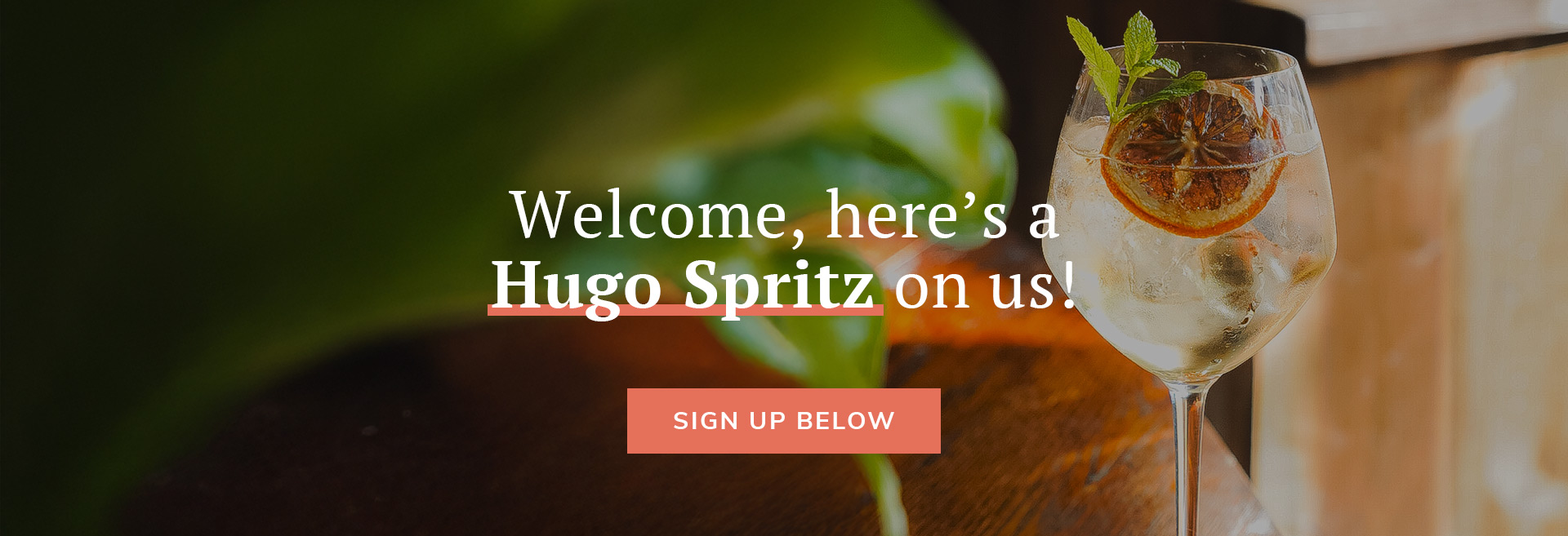 Sign up to the newsletter at The Ranelagh